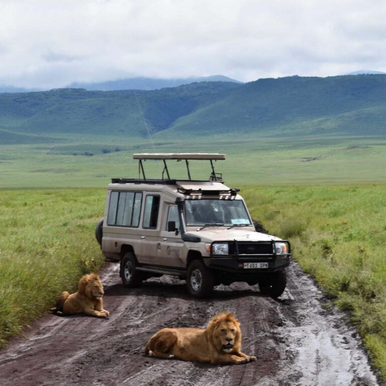 Ngorongoro-Crater